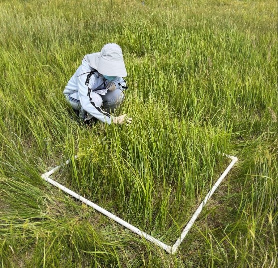 e92ab2ca12434ce0a3341a54073878b0.jpg 2.jpg